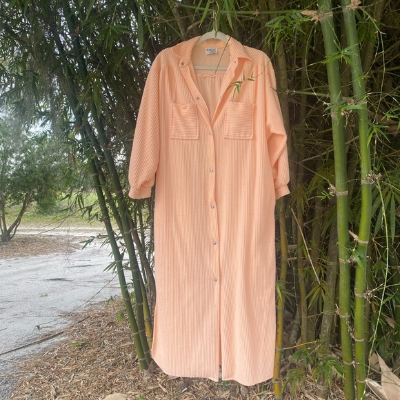 70’s stripe Cantaloupe Terrycloth Shirtdress - Picture 2 of 6